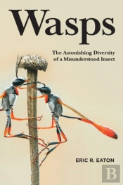 Wasps