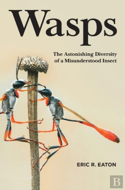 Bertrand.pt - Wasps