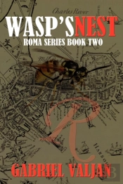 Wasp'S Nest