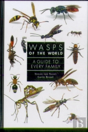 Wasps Of The World