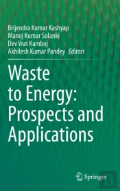 Waste To Energy: Prospects And Applications