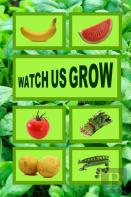 Watch Us Grow
