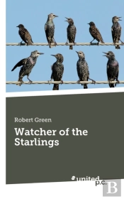 Watcher Of The Starlings