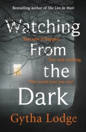 Watching From The Dark