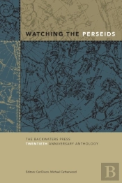 Watching The Perseids