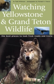 Watching Yellowstone & Grand Teton Wildlife
