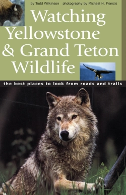 Bertrand.pt - Watching Yellowstone & Grand Teton Wildlife