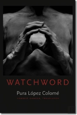 Bertrand.pt - Watchword