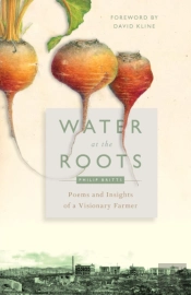 Water At The Roots