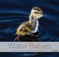 Bertrand.pt - Water Babies