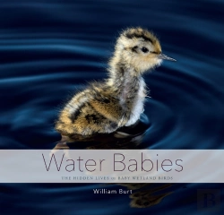 Bertrand.pt - Water Babies