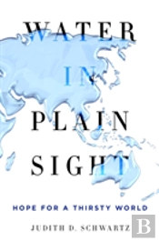 Water In Plain Sight