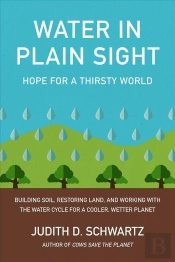 Water In Plain Sight