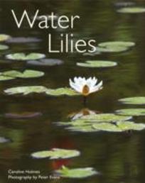 Water Lilies