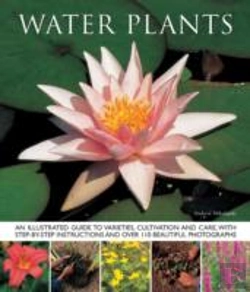 Bertrand.pt - Water Plants