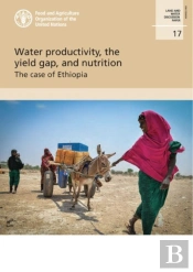 Water Productivity, The Yield Gap, And Nutrition