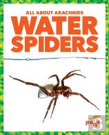 Water Spiders