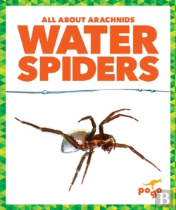 Bertrand.pt - Water Spiders