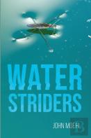 Water Striders