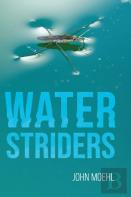 Water Striders