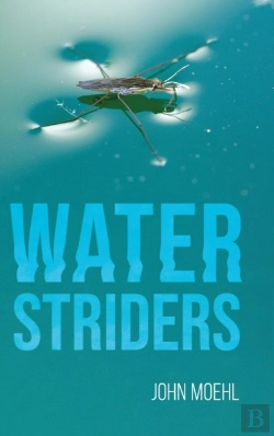 Bertrand.pt - Water Striders