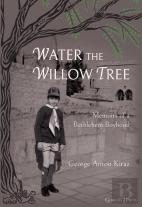 Water The Willow Tree