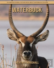 Waterbuck