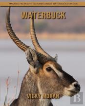Waterbuck
