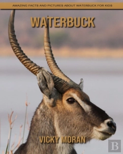 Bertrand.pt - Waterbuck