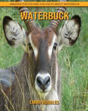 Waterbuck