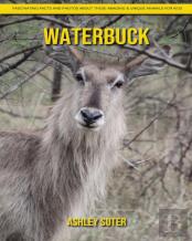 Waterbuck