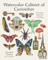 Watercolor Cabinet Of Curiosities