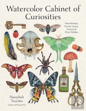 Watercolor Cabinet Of Curiosities