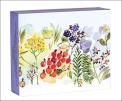 Watercolor Meadow Quicknotes