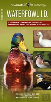 Waterfowl Id Set