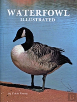 Bertrand.pt - Waterfowl Illustrated