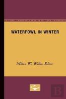 Waterfowl In Winter