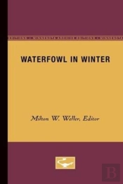 Waterfowl In Winter