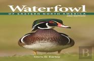 Waterfowl Of Eastern North America