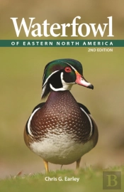 Waterfowl Of Eastern North America
