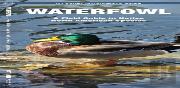 Waterfowl