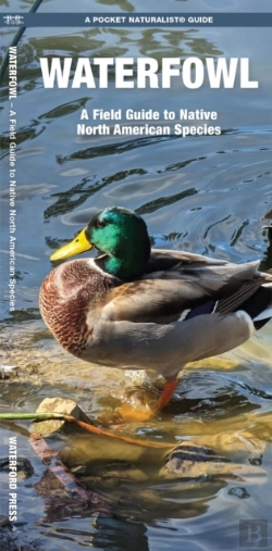 Bertrand.pt - Waterfowl