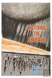 Watering The Rhubarb