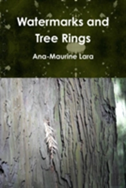 Bertrand.pt - Watermarks And Tree Rings