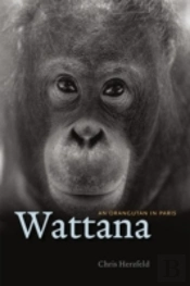 Wattana