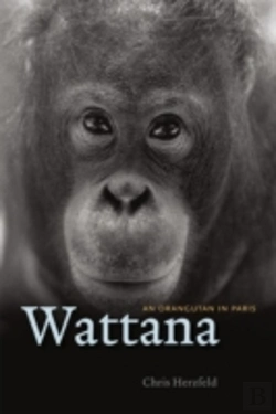 Bertrand.pt - Wattana