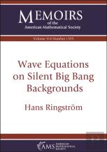 Wave Equations On Silent Big Bang Backgrounds