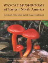 Waxcap Mushrooms Of Eastern North America