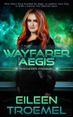 Bertrand.pt - Wayfarer Aegis