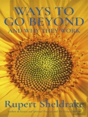 Ways To Go Beyond And Why They Work - Seven Spiritual Practices In A Scientific Age